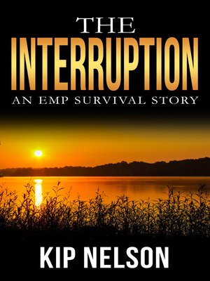 cover image of The Interruption